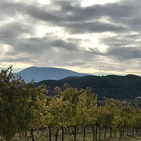 Les Aiguieres En Provence * Suze-la-Rousse