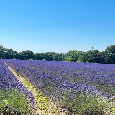 Les Aiguieres En Provence *